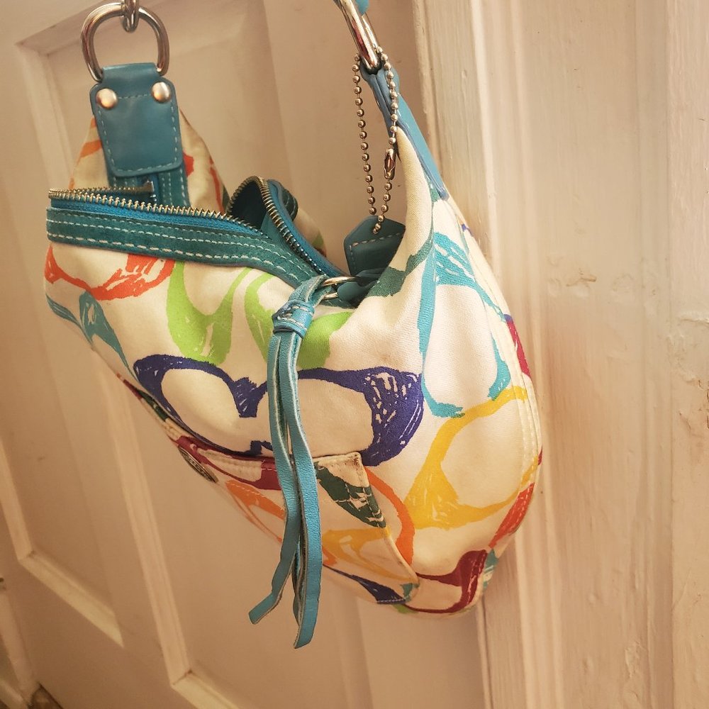 Multi colored small hobo